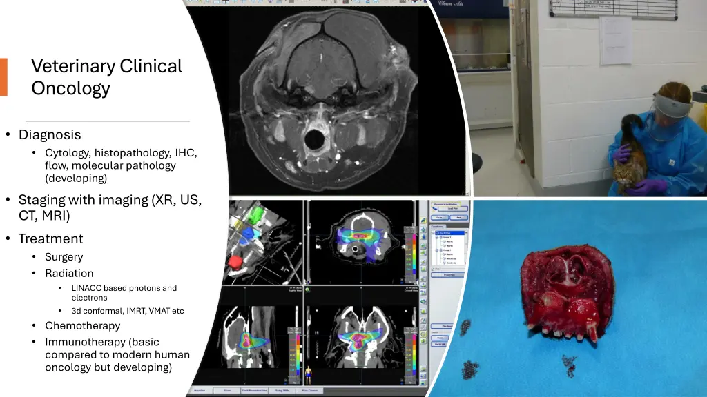 veterinary clinical oncology