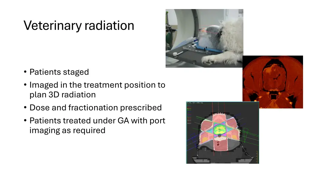 veterinary radiation