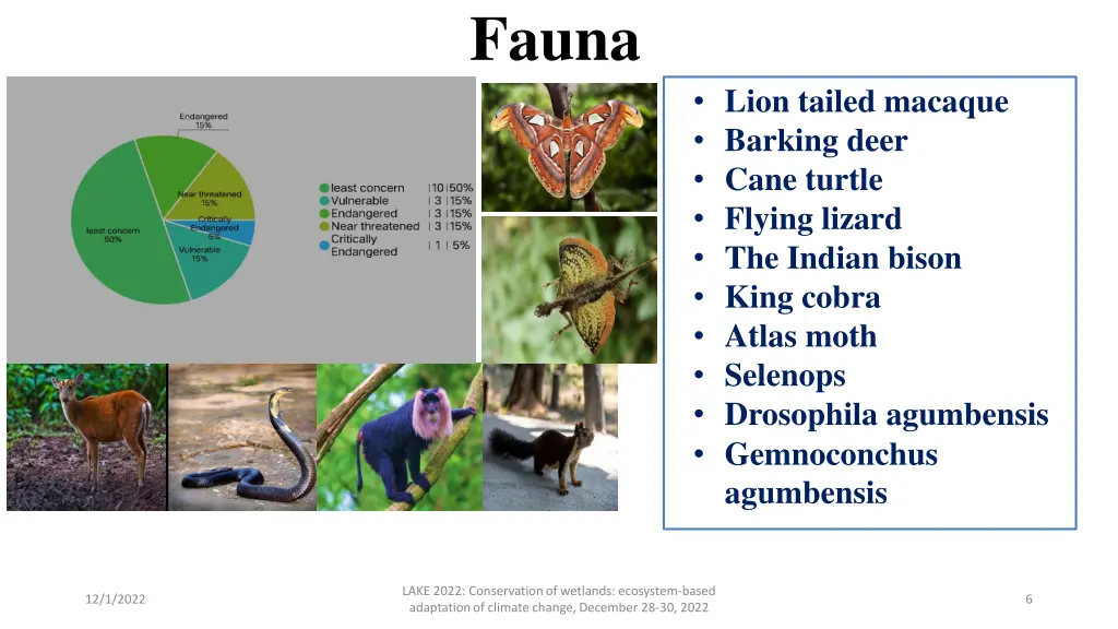 fauna