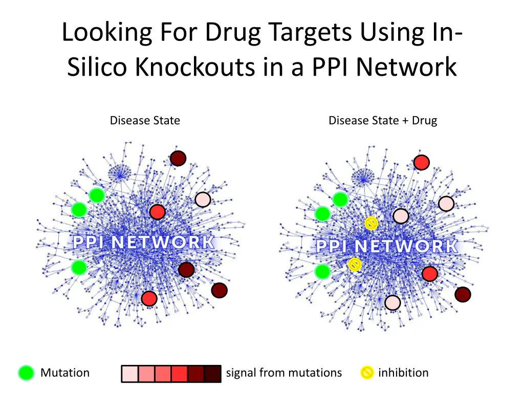 looking for drug targets using in silico