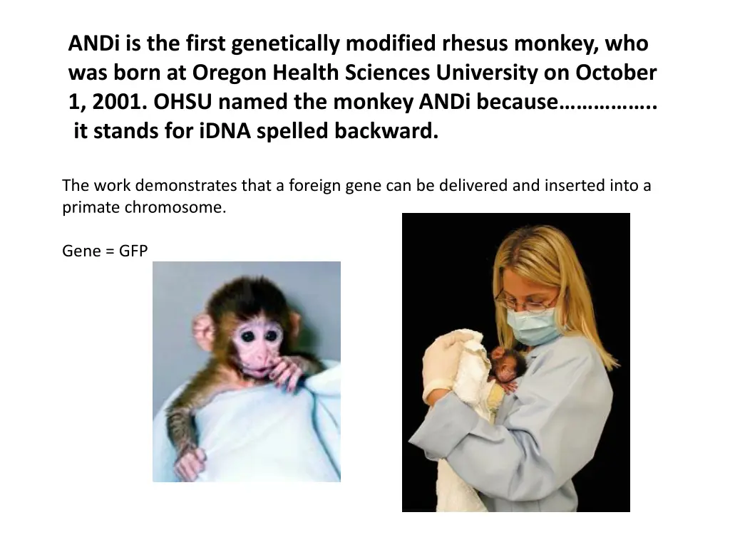 andi is the first genetically modified rhesus