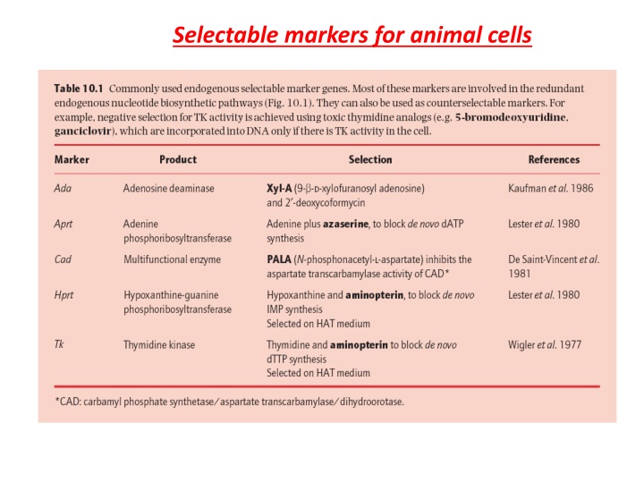 selectable markers for animal cells