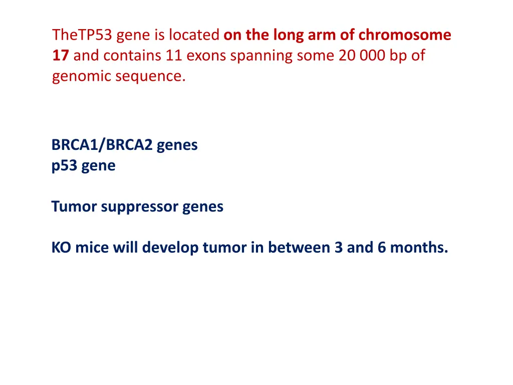 thetp53 gene is located on the long