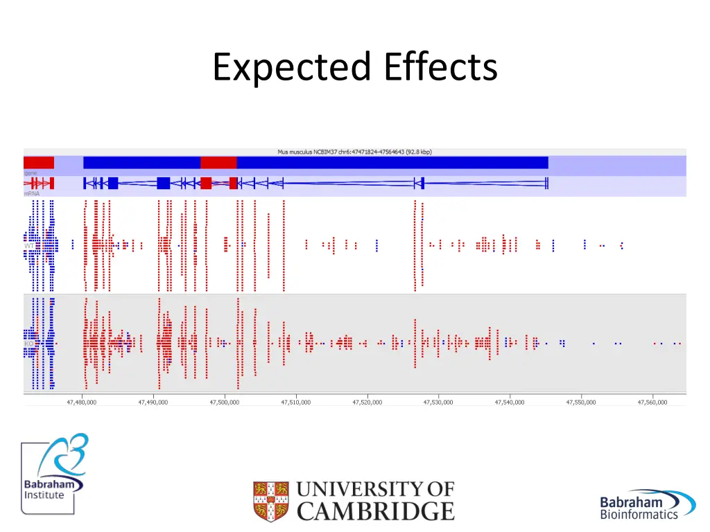 expected effects