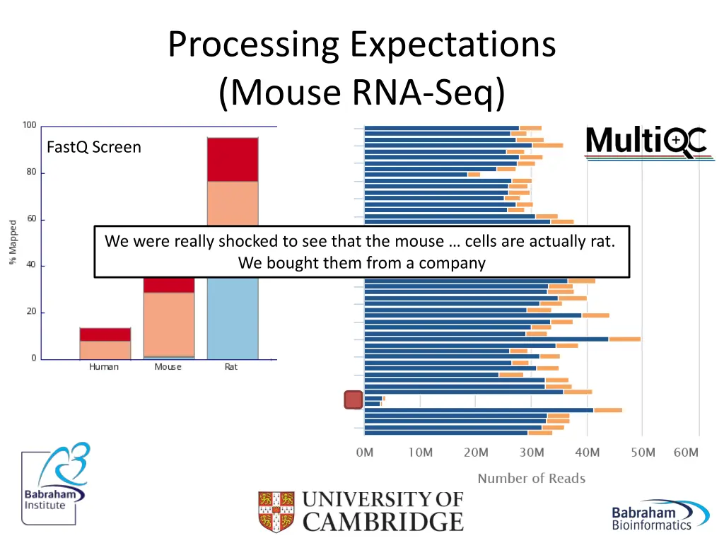 processing expectations mouse rna seq