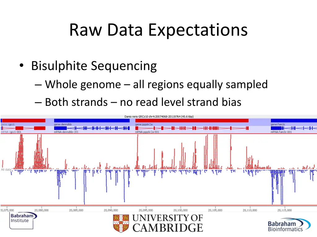 raw data expectations