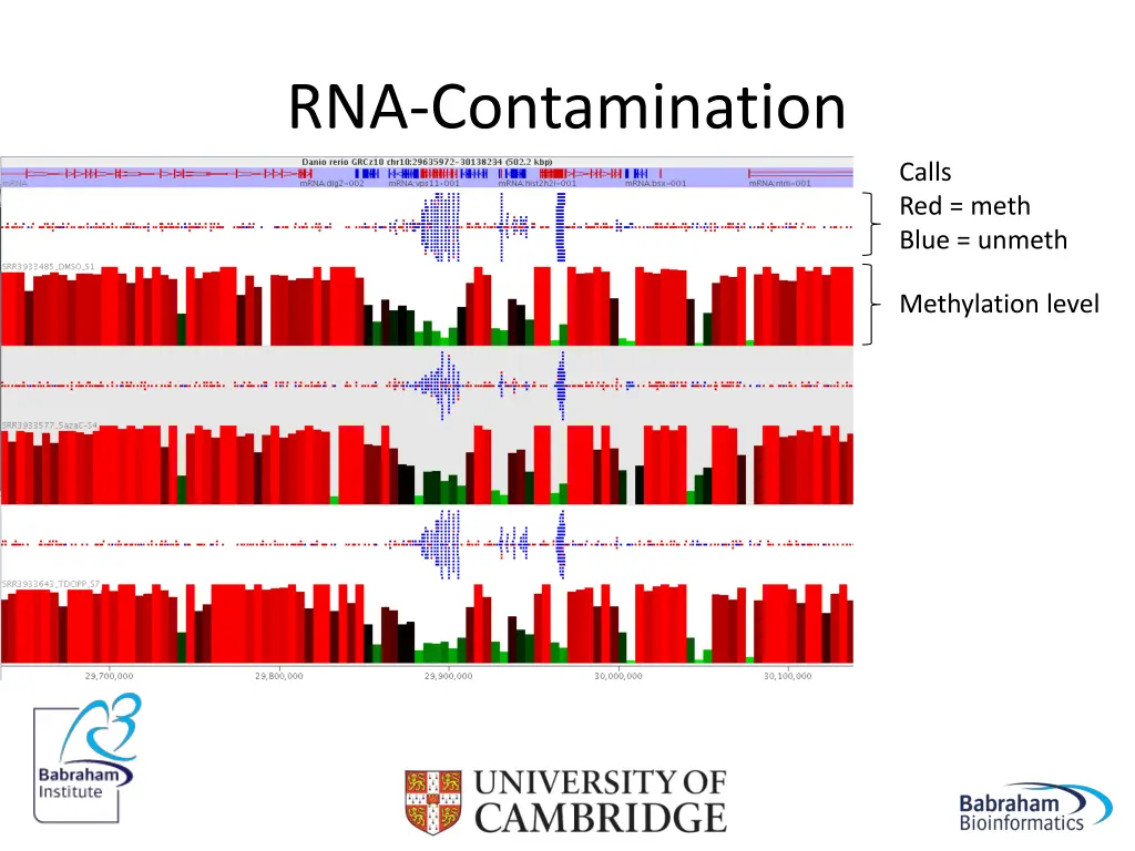 rna contamination