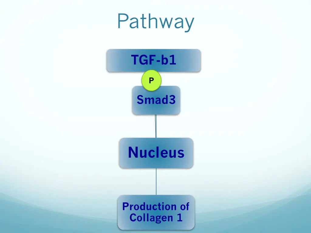 pathway 1