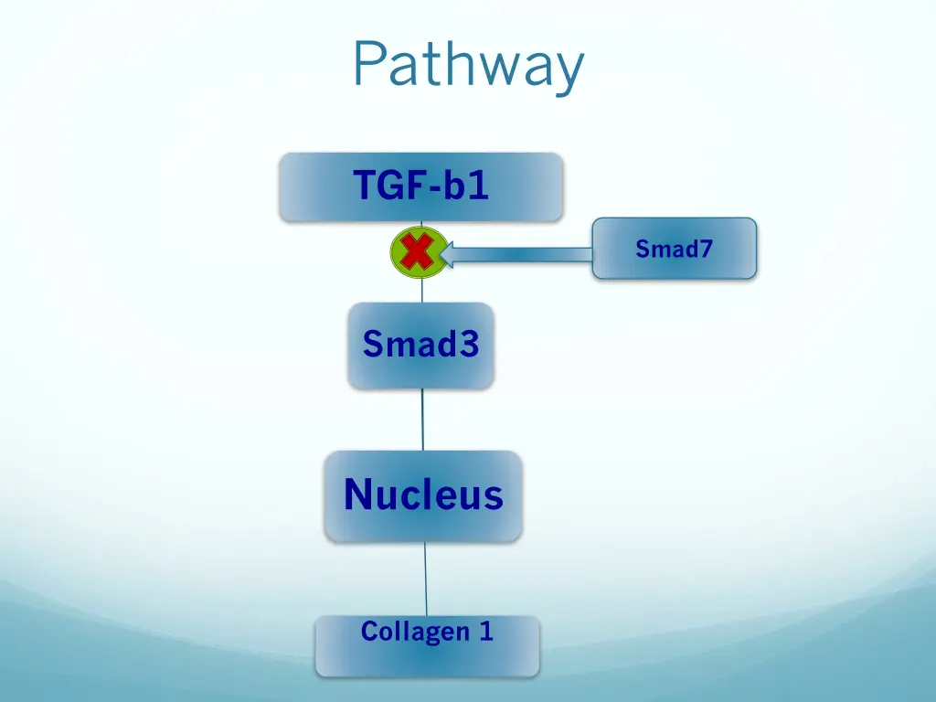 pathway 2