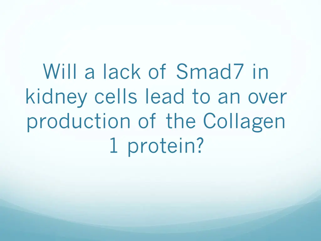 will a lack of smad7 in kidney cells lead