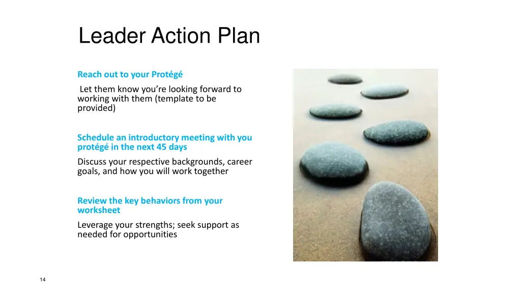 leader action plan