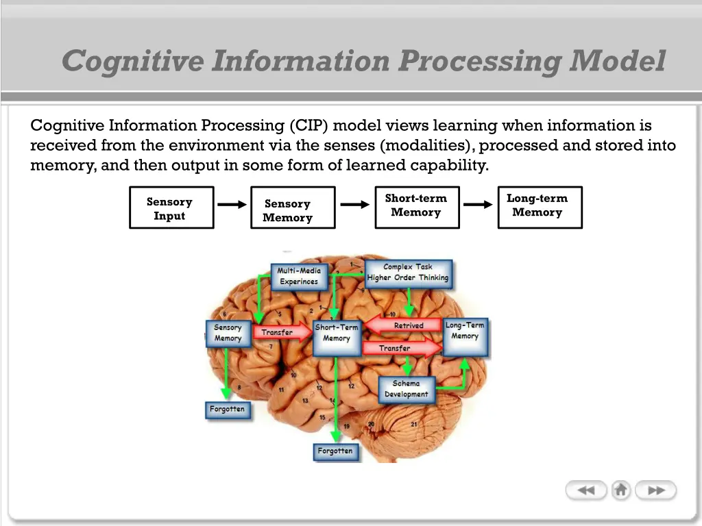 cognitive information processing model