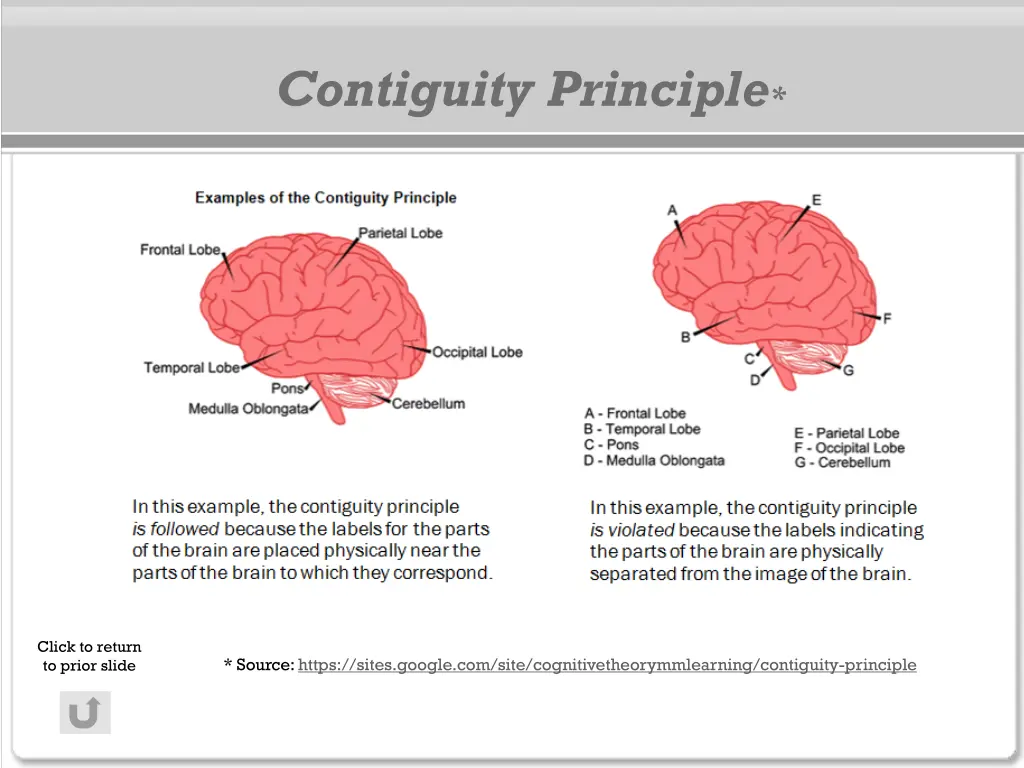 contiguity principle