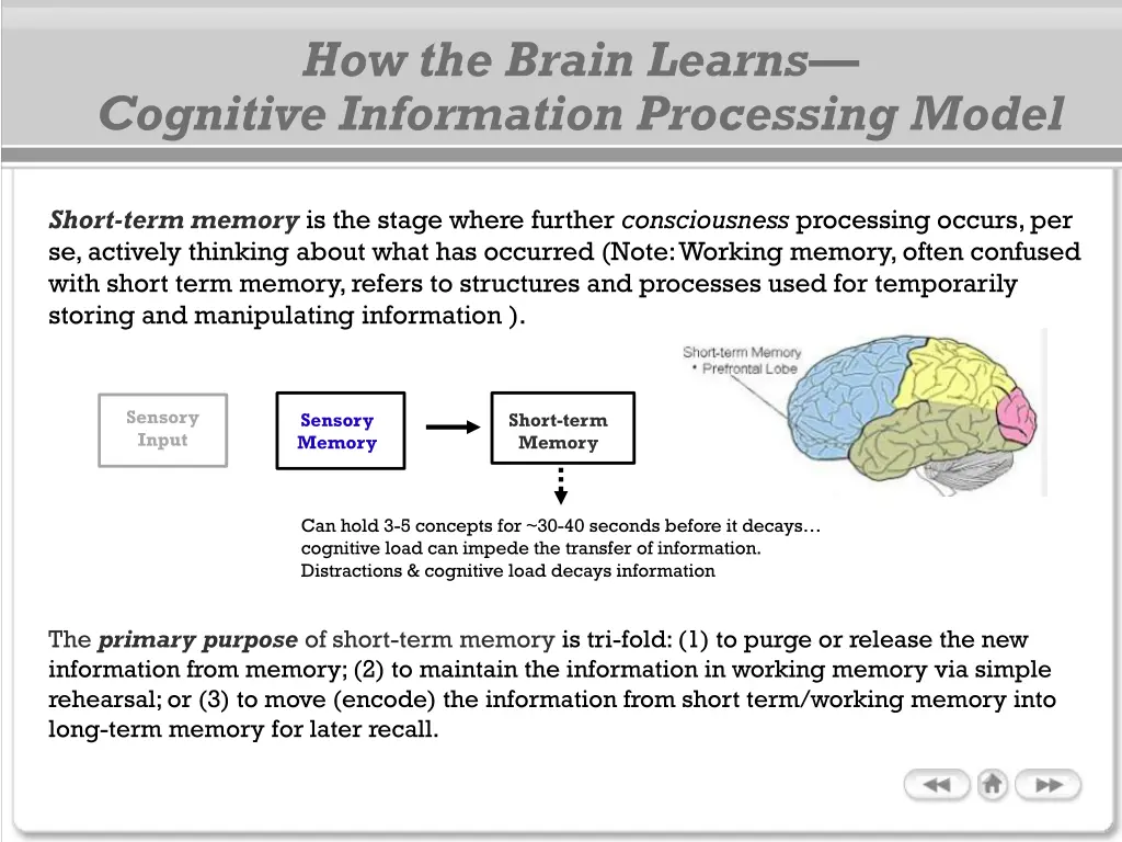 how the brain learns cognitive information 1