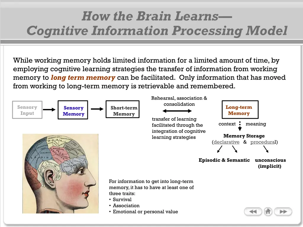 how the brain learns cognitive information 2