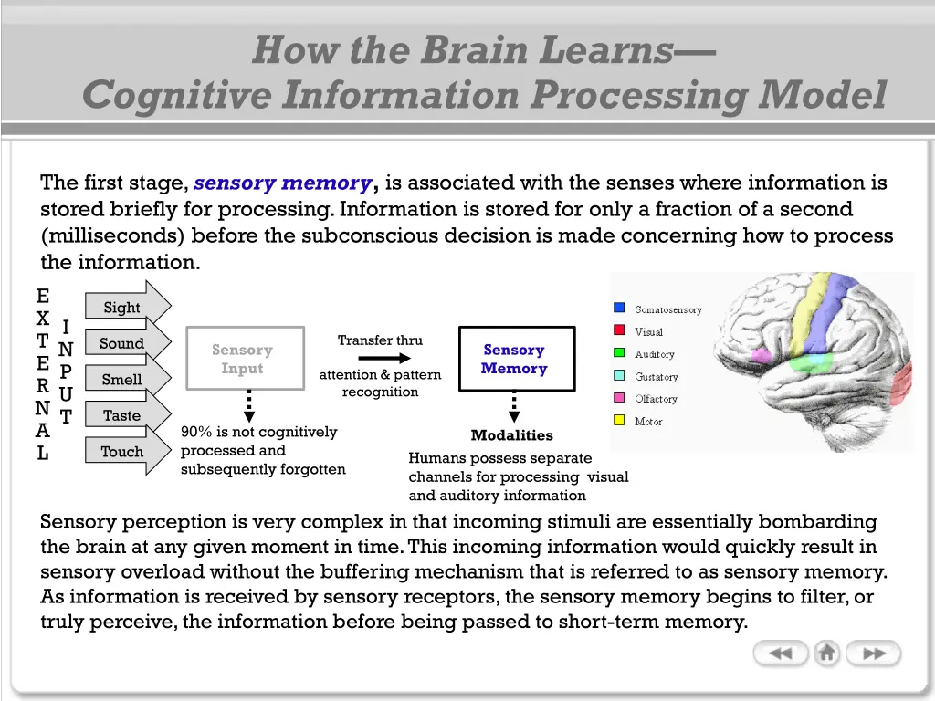 how the brain learns cognitive information