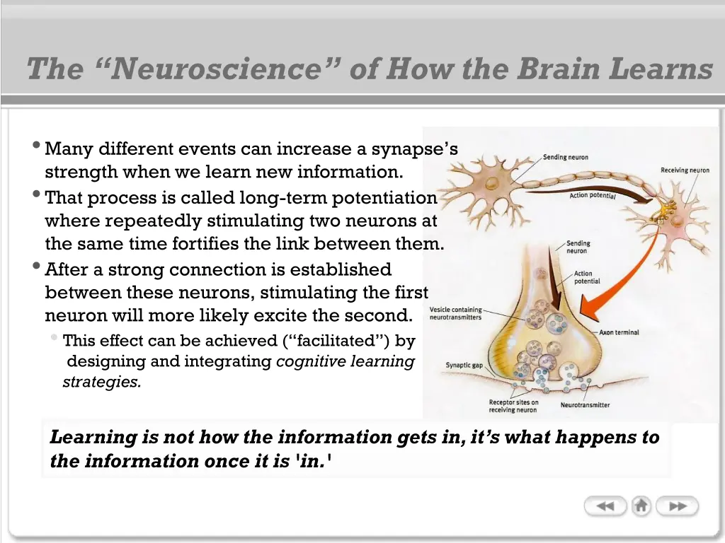 the neuroscience of how the brain learns 1