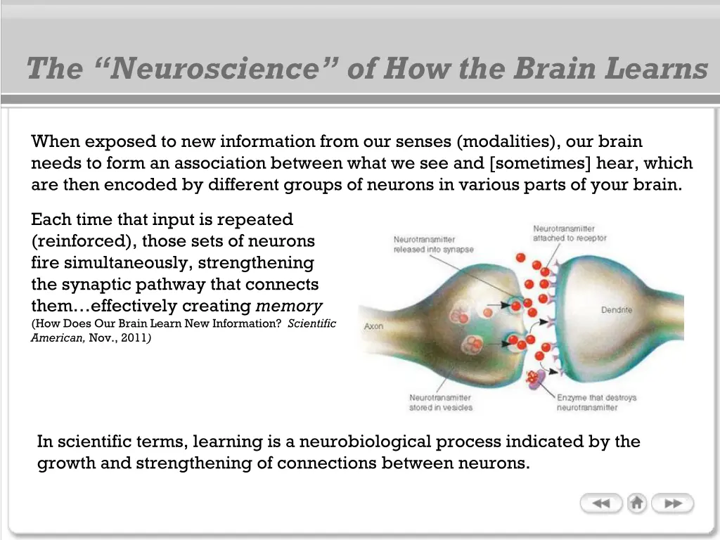 the neuroscience of how the brain learns