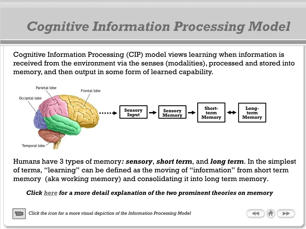 cognitive information processing model