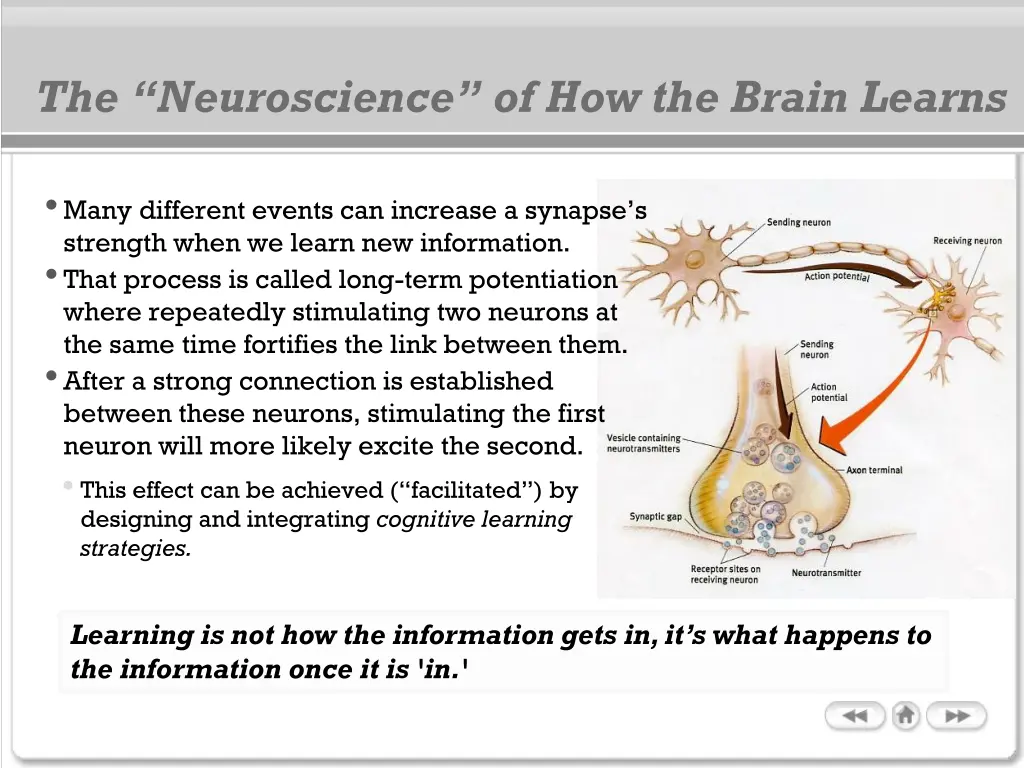 the neuroscience of how the brain learns 1