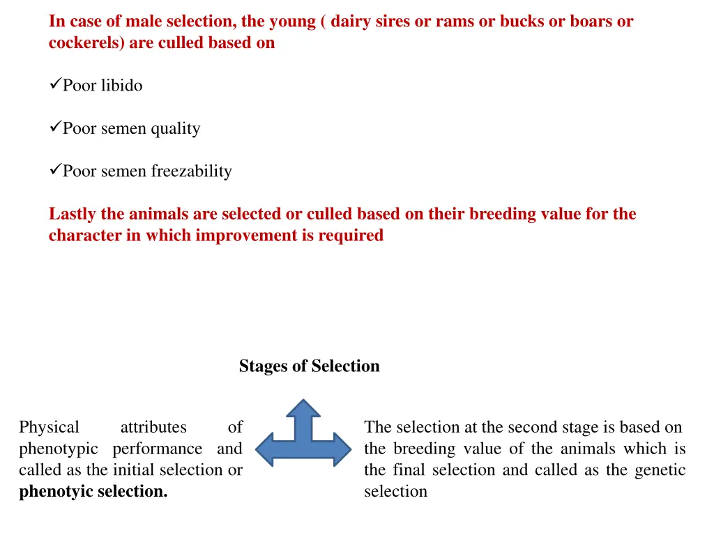 in case of male selection the young dairy sires