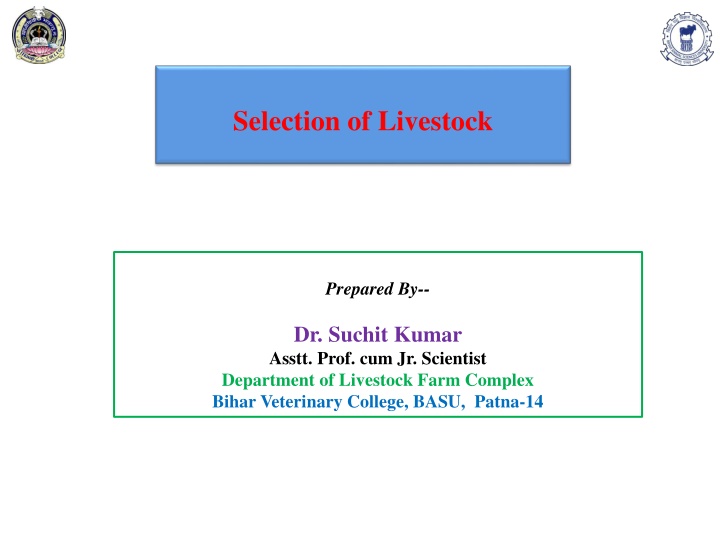 selection of livestock