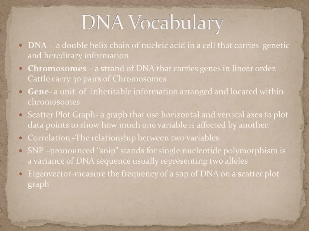 dna vocabulary