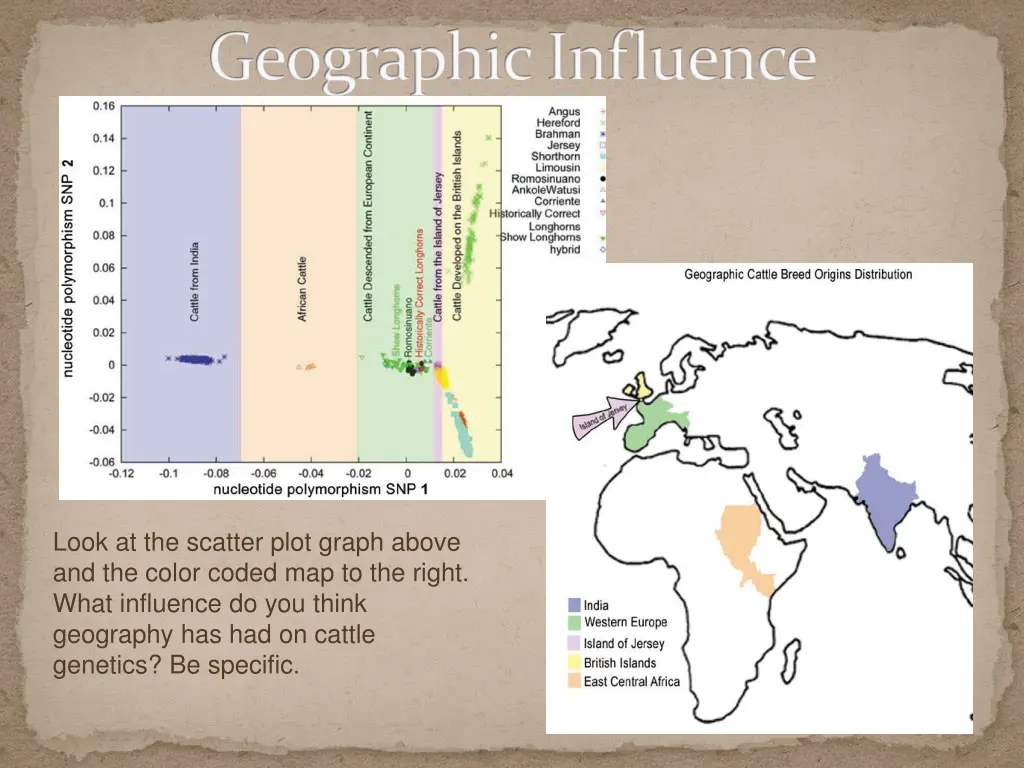 geographic influence