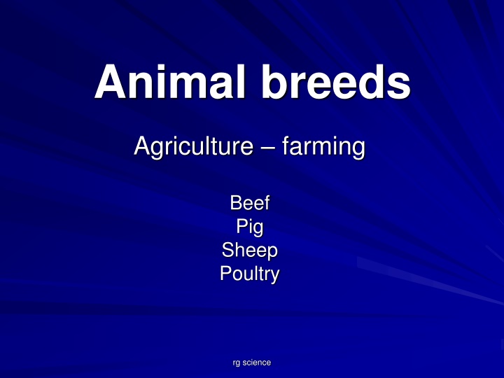 animal breeds