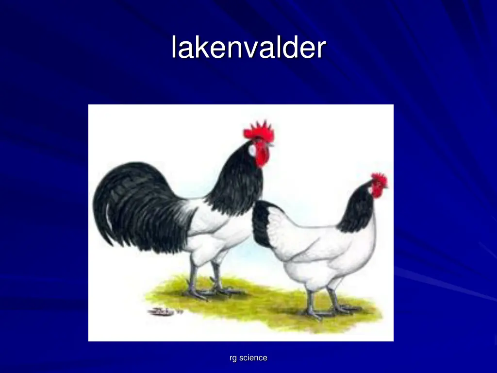 lakenvalder