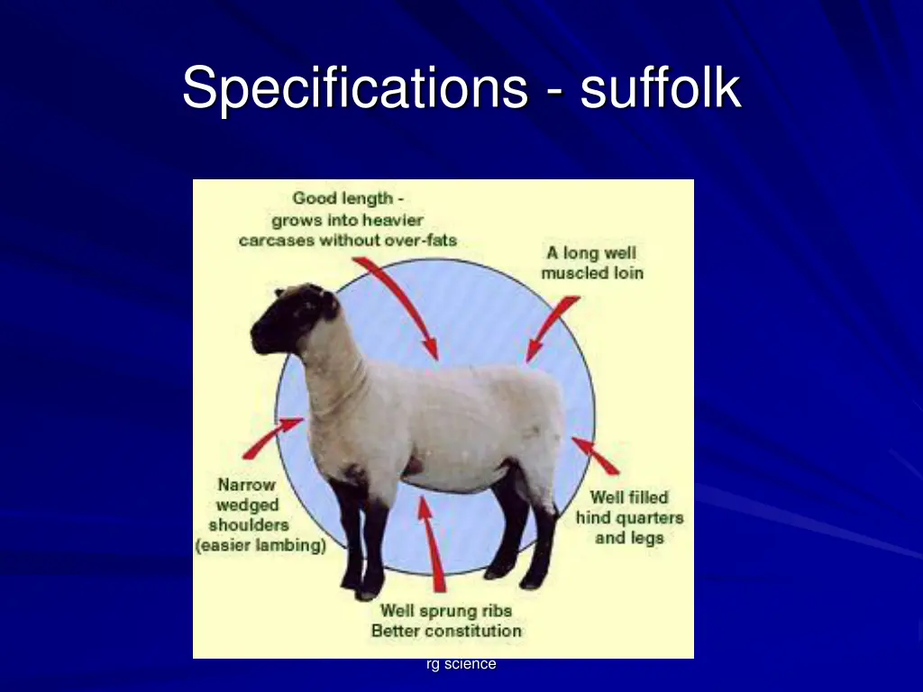 specifications suffolk