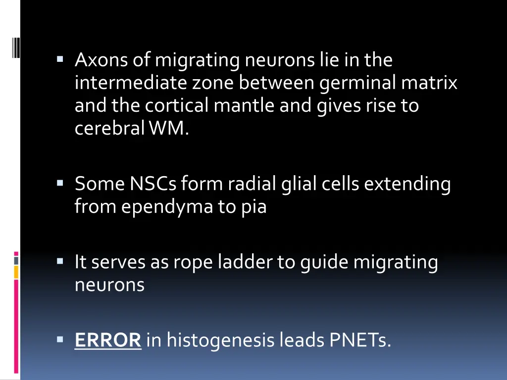 axons of migrating neurons