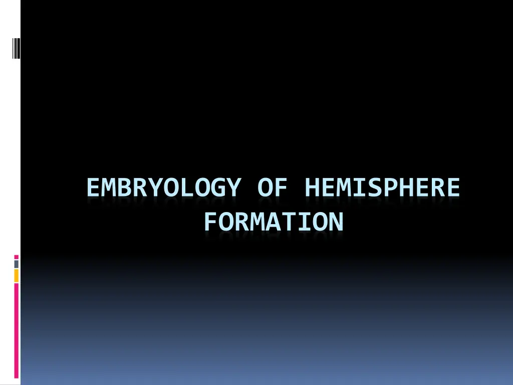 embryology of hemisphere formation