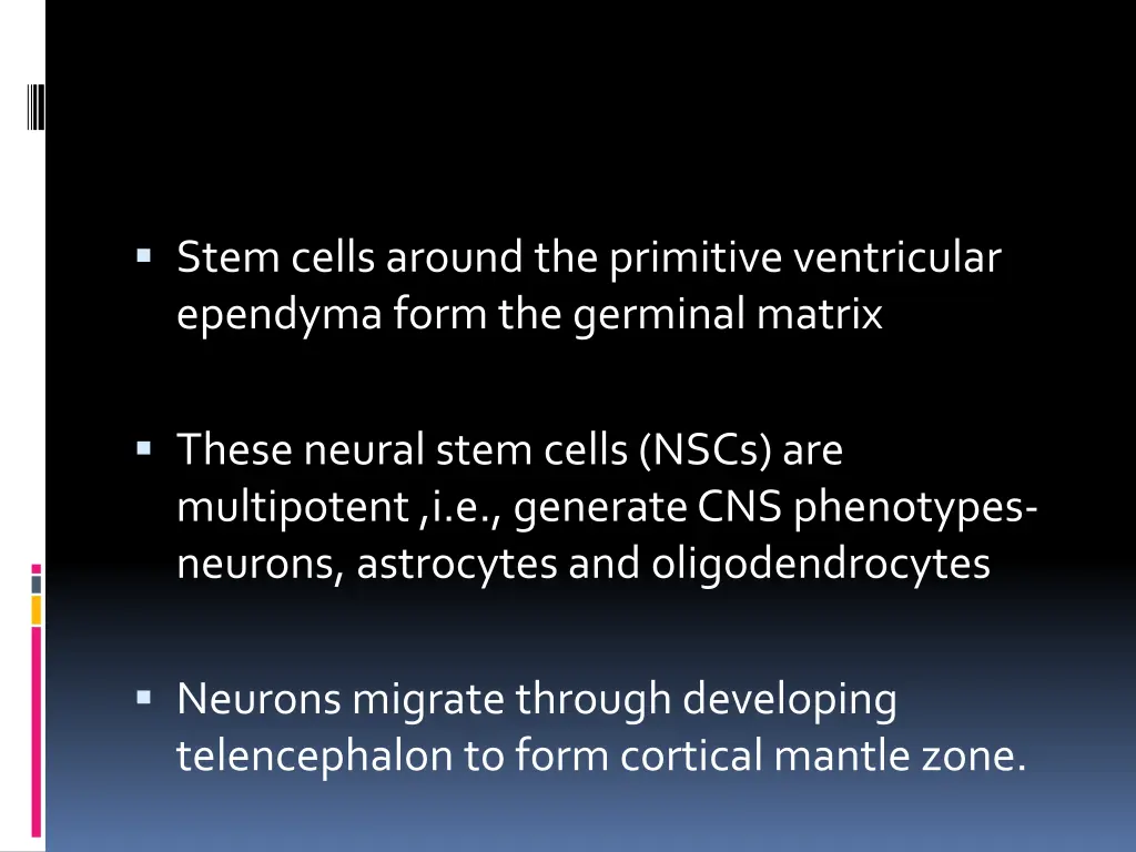 stem cells around the primitive ventricular