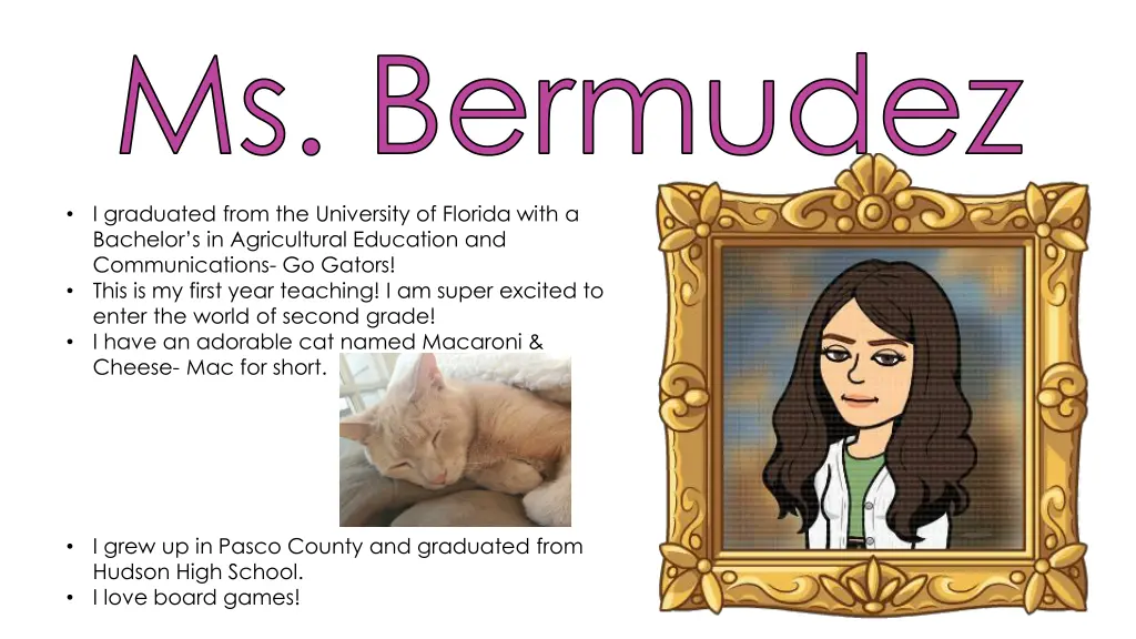 ms bermudez