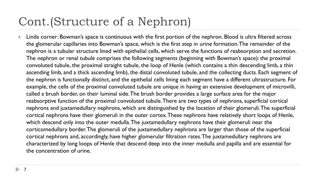 cont structure of a nephron 1