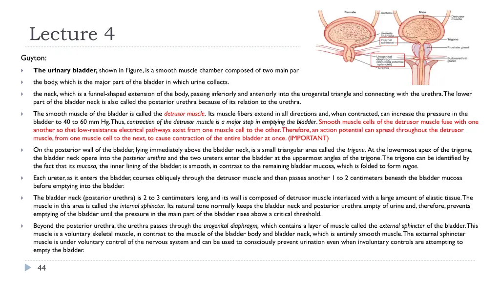 lecture 4