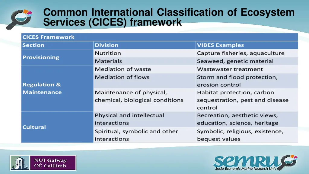 common international classification of ecosystem