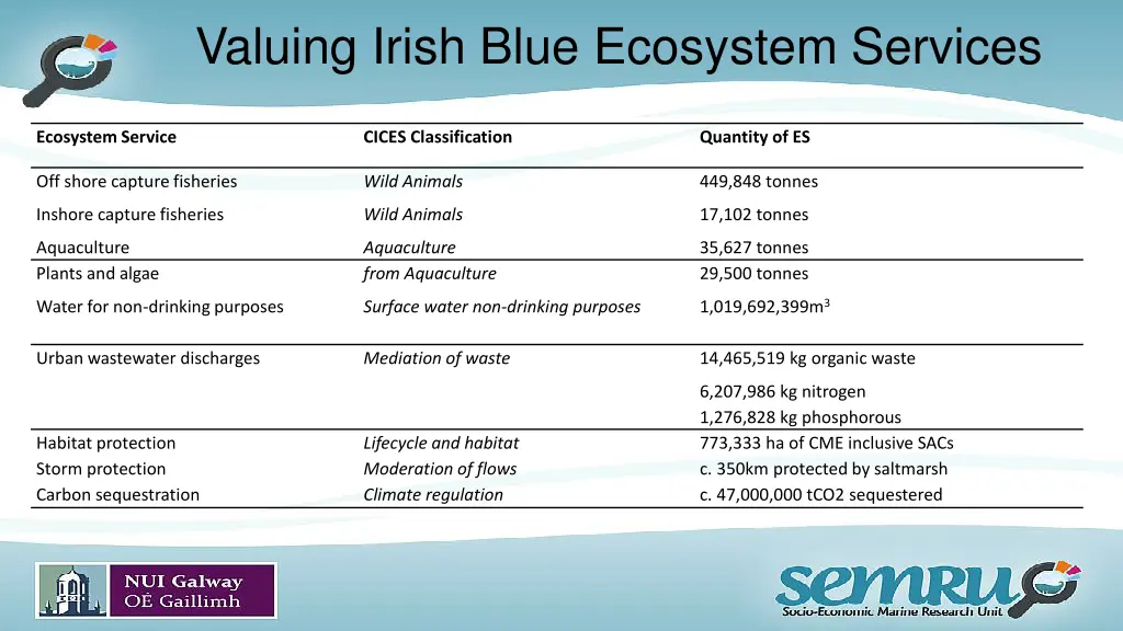 valuing irish blue ecosystem services