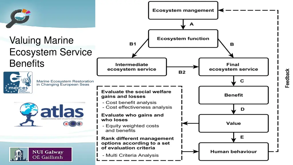 valuing marine ecosystem service benefits