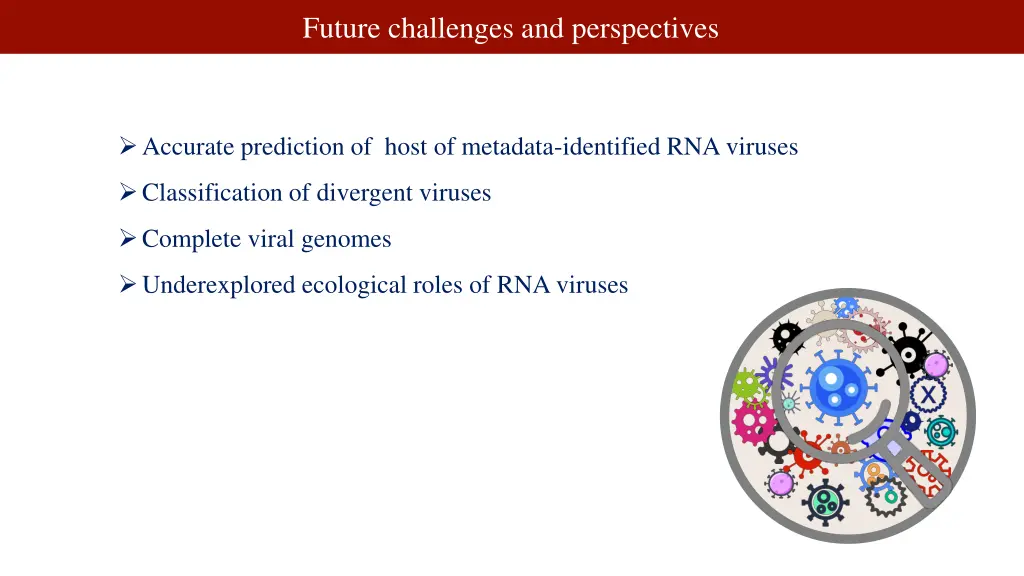 future challenges and perspectives