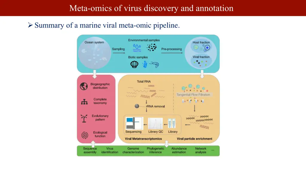 meta omics of virus discovery and annotation