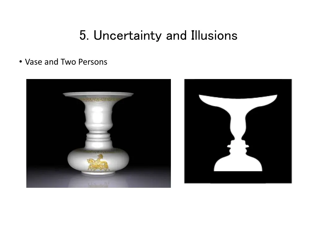 5 uncertainty and illusions