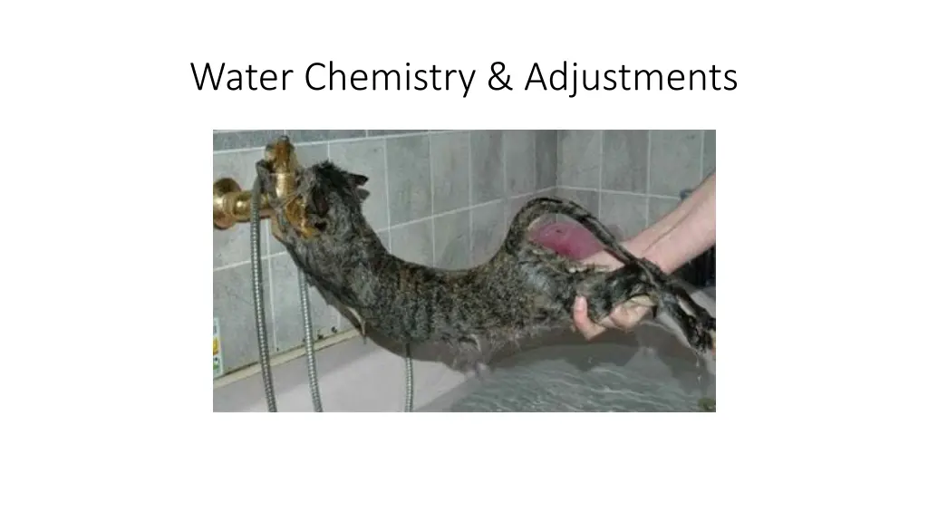 water chemistry adjustments