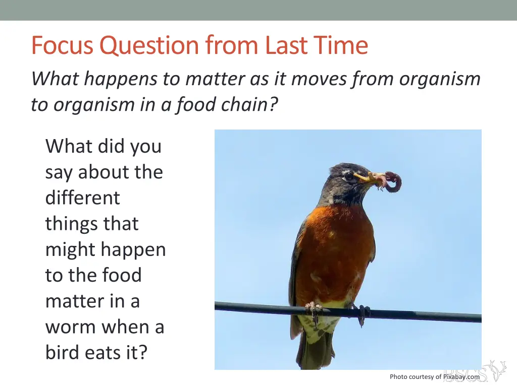 focus question from last time what happens