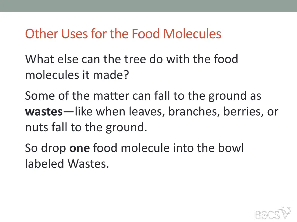 other uses for the food molecules 1