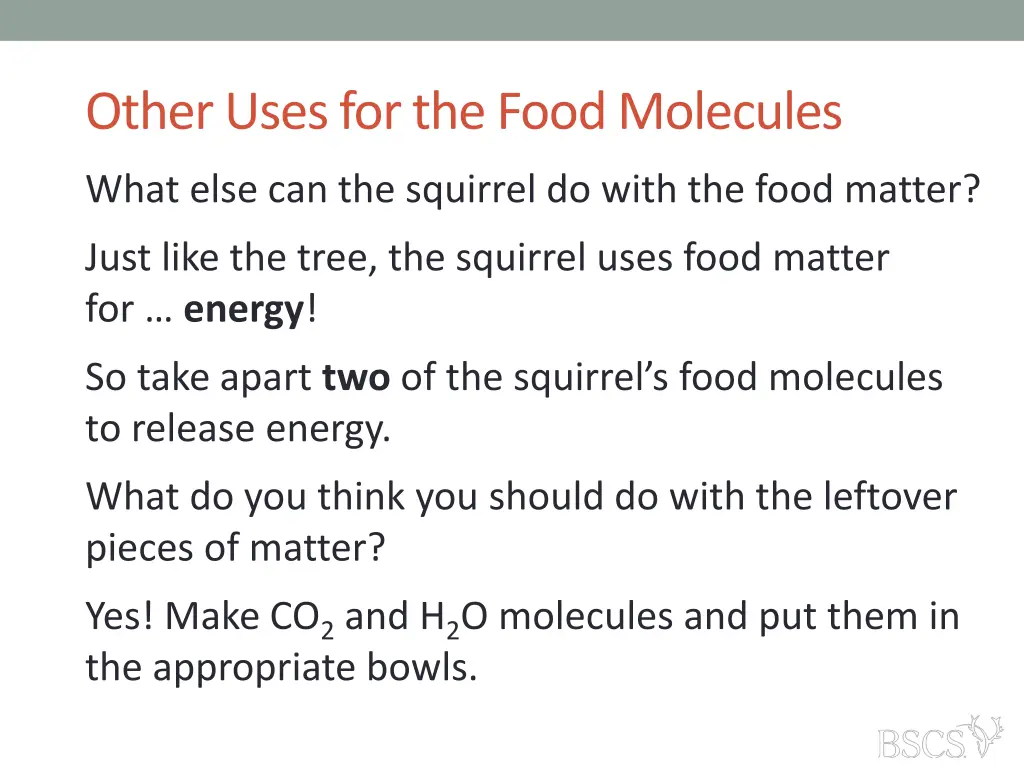 other uses for the food molecules 2