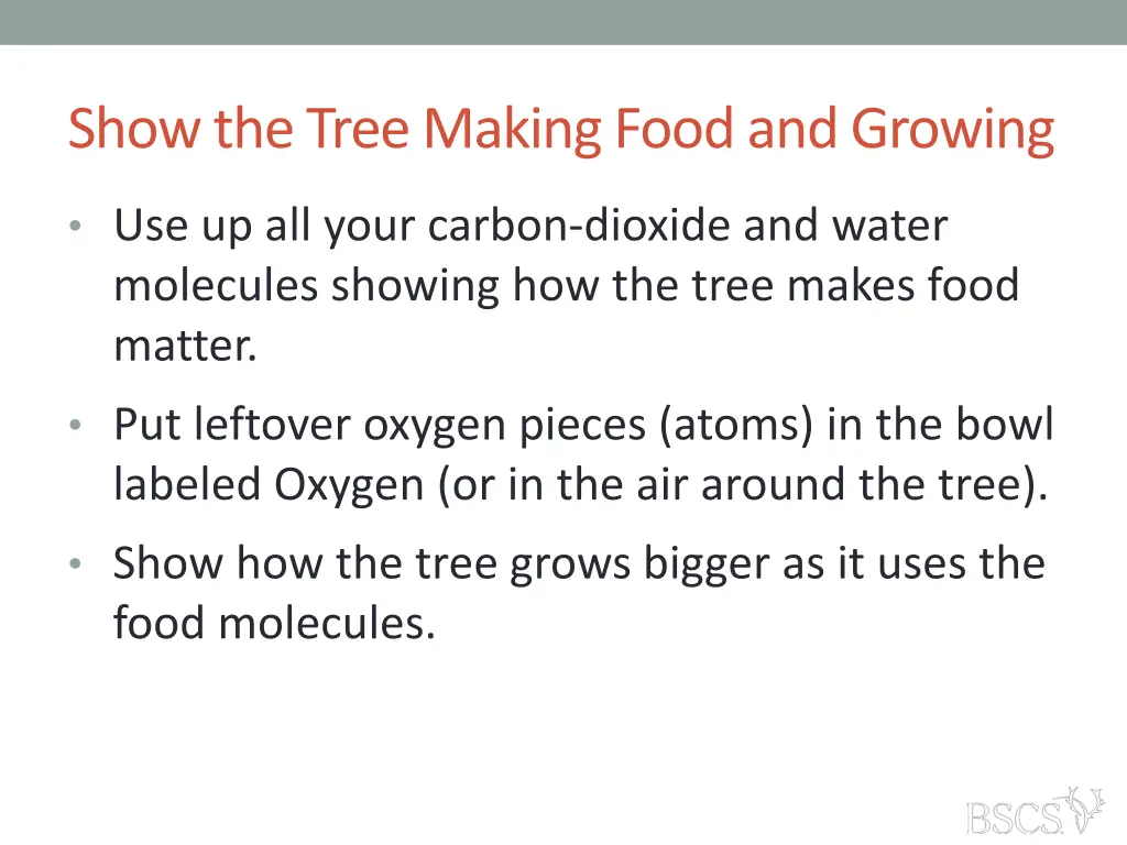 show the tree making food and growing