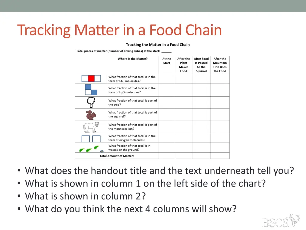 tracking matter in a food chain