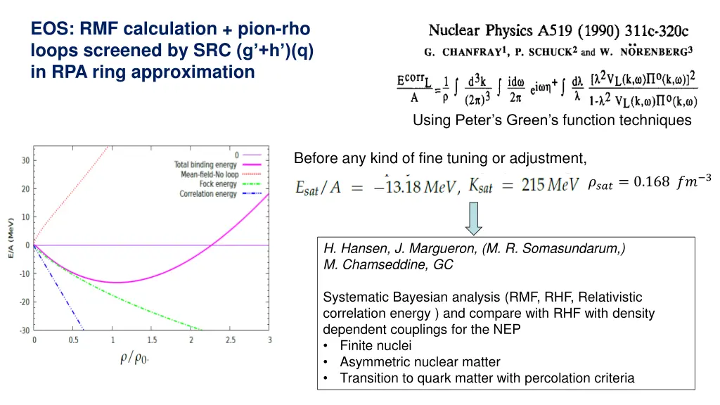 eos rmf calculation pion rho loops screened